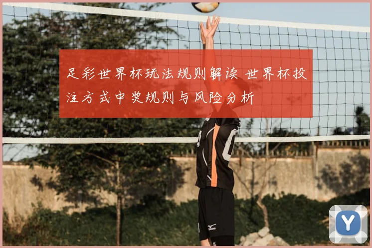 足彩世界杯玩法规则解读 世界杯投注方式中奖规则与风险分析