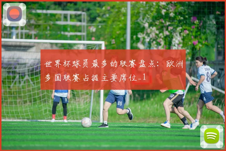 世界杯球员最多的联赛盘点:欧洲多国联赛占据主要席位_1